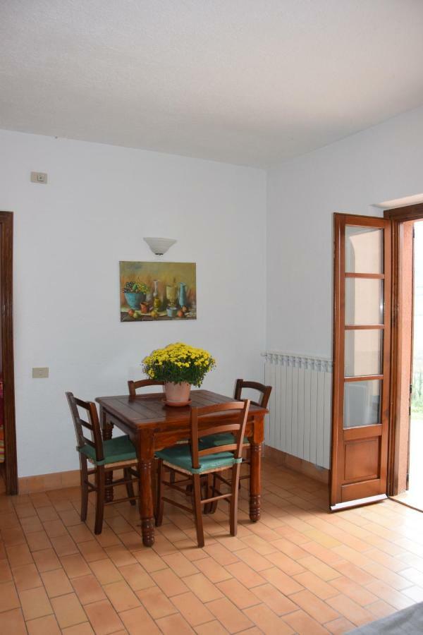 One-Bedroom Apartment,812453992:JPEG